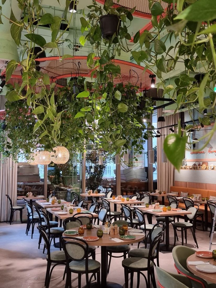 Amenajare horeca cu plante suspendate, PALMIER SHOP