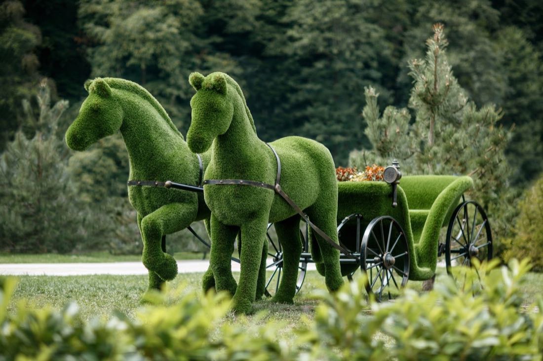 Doi cai și o trăsură din gazon artificial, într-un parc